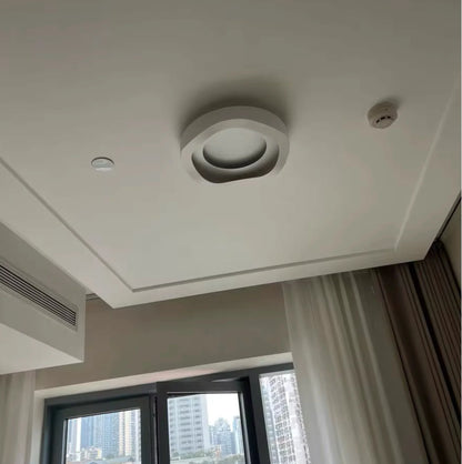 ceiling light organic with lights off