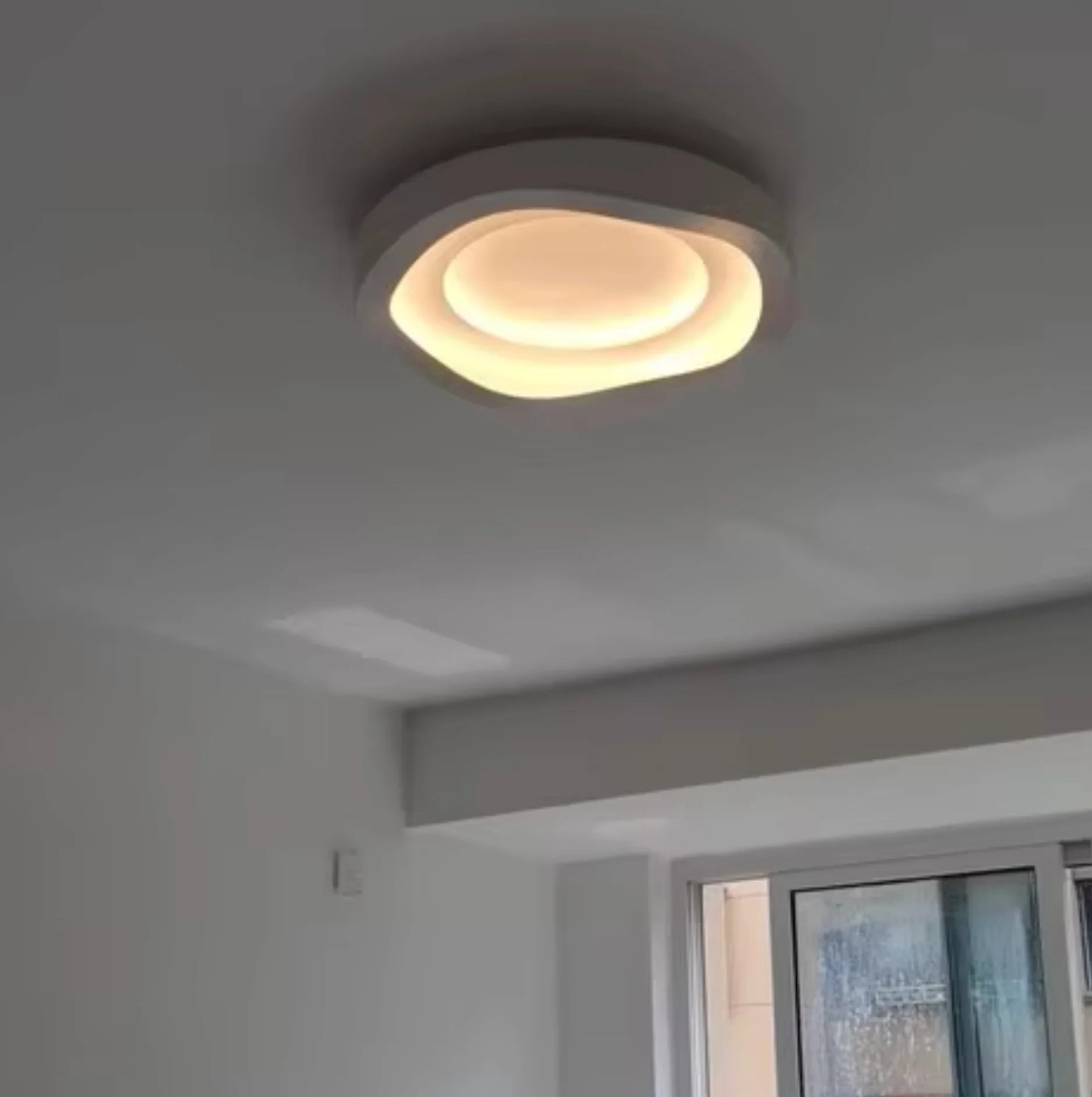 organic ceiling light